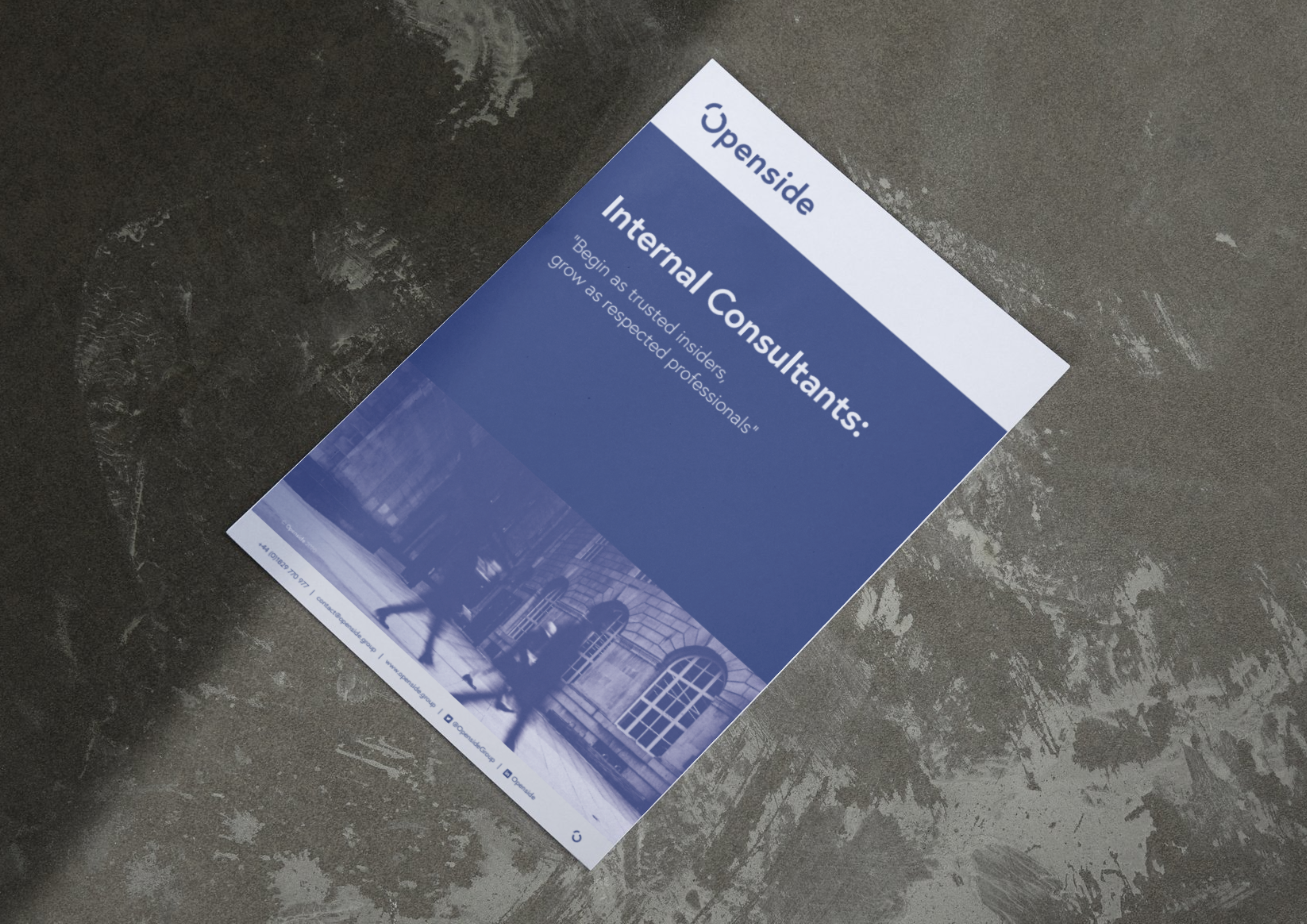 Internal Consulting Research Report: Begin as trusted insiders, grow as respected professionals