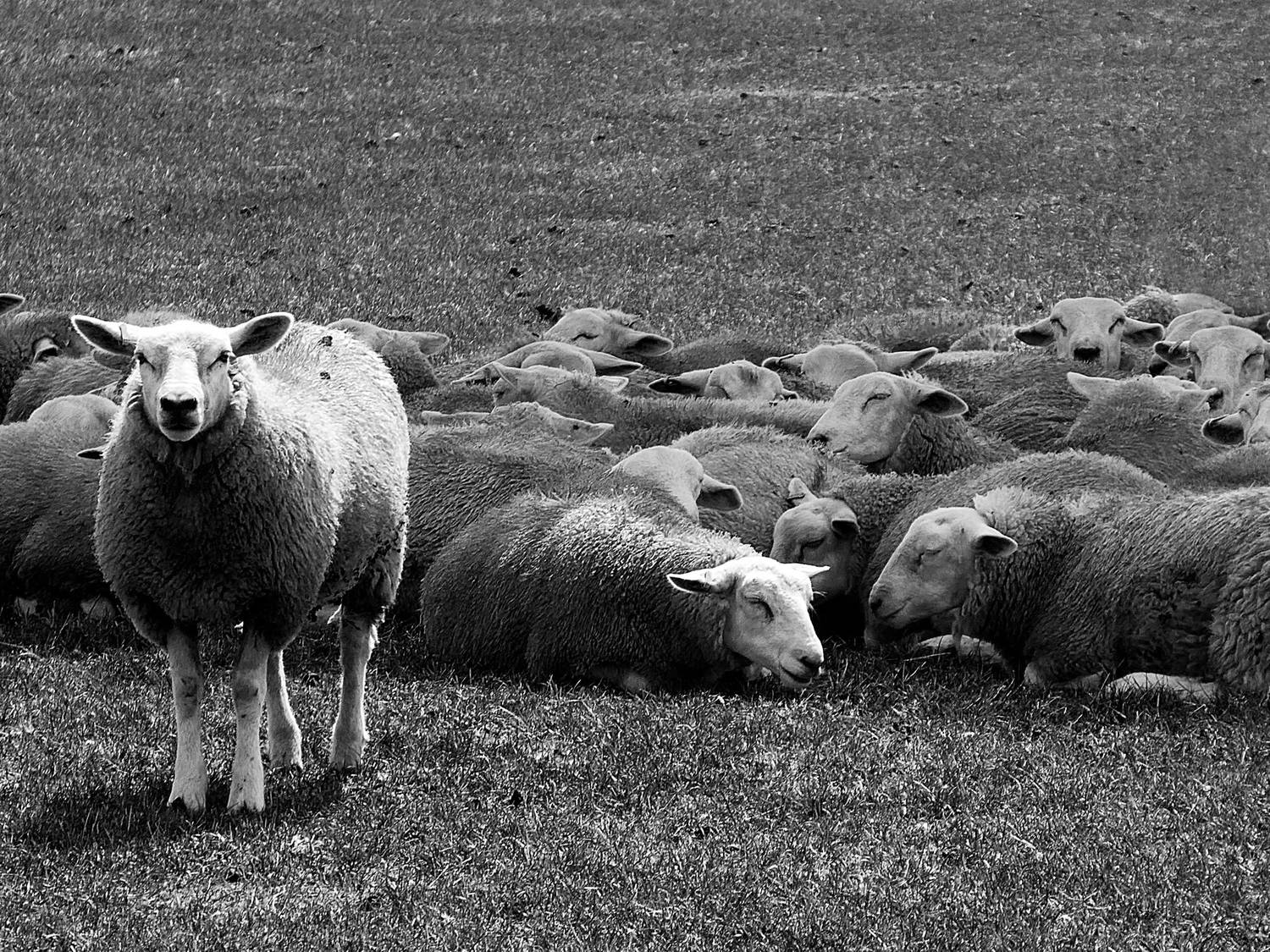 Tales of the Unexpected: Rethinking Differentiation